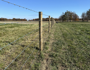 Barbed Wire Fencing