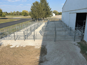 horse fence system