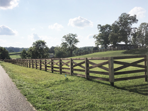 wood board ag fence