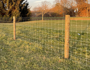 Woven Wire Fencing
